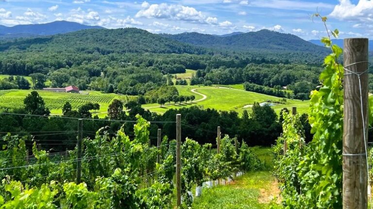 Virginia’s charming Blue Ridge town is a serene escape for cozy wineries and unmatched outdoor adventure